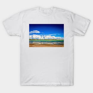 72291  Lake Amistad Texas T-Shirt